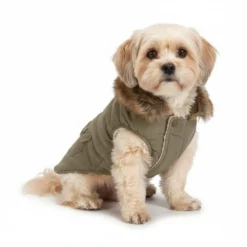 Abrigo Designed by Lotte Philos Verde para Perro