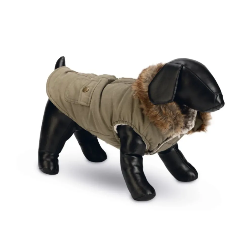 Abrigo Designed by Lotte Philos Verde para Perro