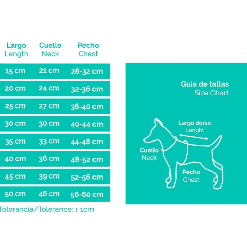 Abrigo Impermeable WinterHug Morado Perro Pequeño