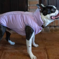 Abrigo Impermeable WinterHug Morado Perro Mediano