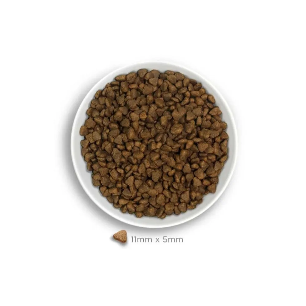 Amanova Pienso Adult Mini Exigent de Cerdo Ibérico para Perros Pequeños