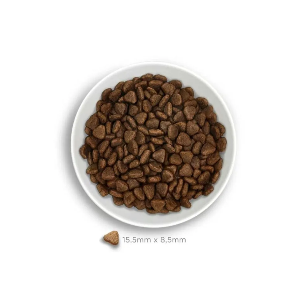 Amanova Pienso Adult Sensitive Cordero para Perros