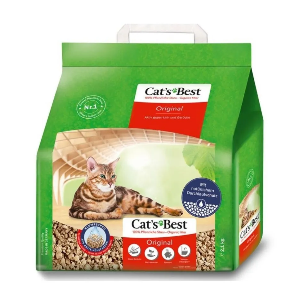 Arena Cats Best Original Gato