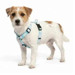 Arnes Patitas Classic Nubes para Perro