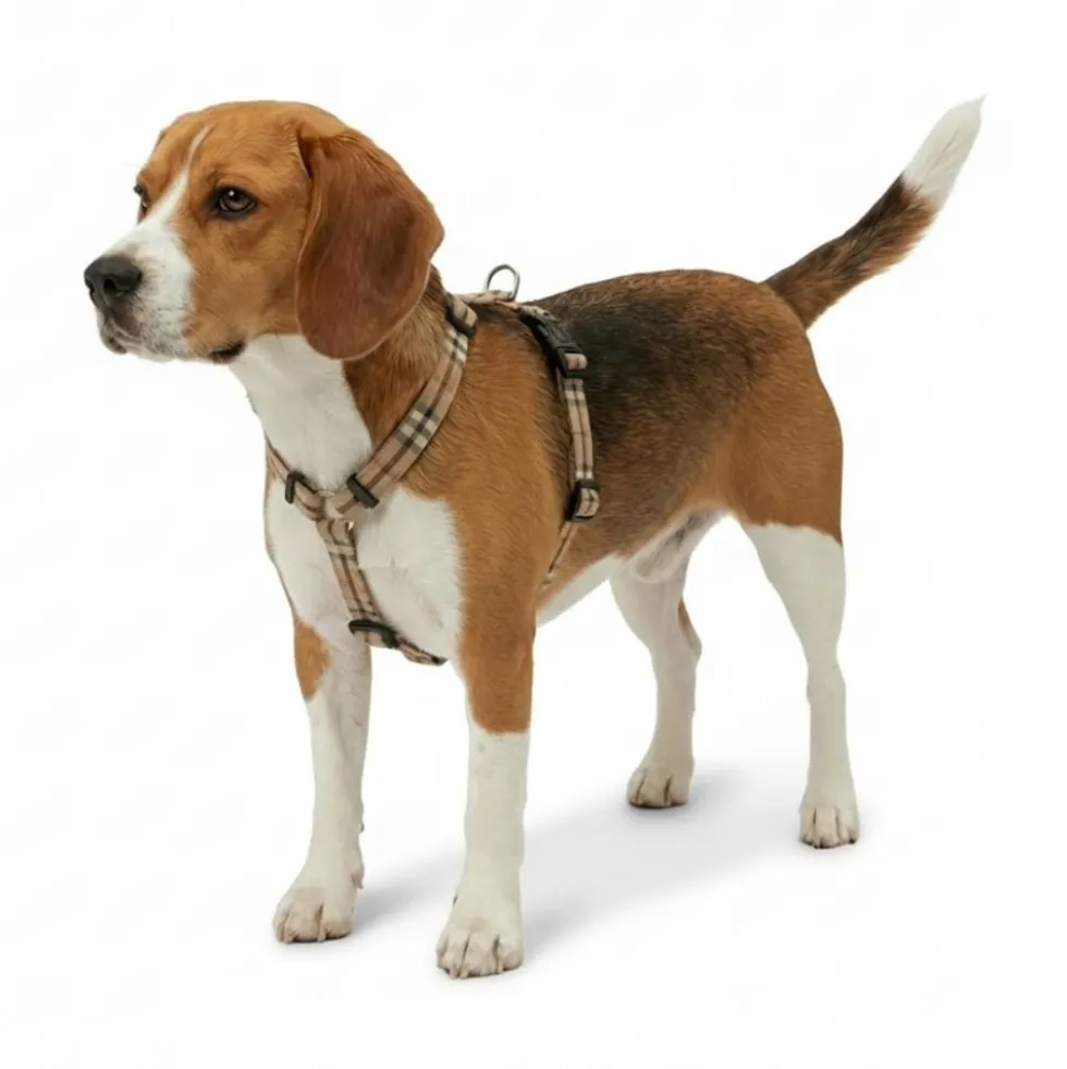 Arnés Patitas Classic Cuadros para Perro