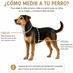 Arnés Patitas Classic Inca para Perro