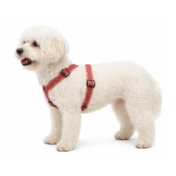 Arnés Patitas Classic Inca para Perro