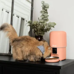 Bandit Comedero Automático Melocotón