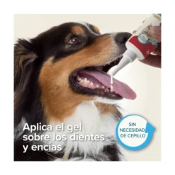 Beaphar Gel Dental sin Cepillado para Perros y Gatos