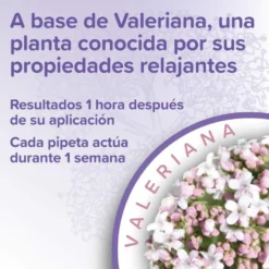Beaphar Pipetas Calmantes para Gato (3 uds)