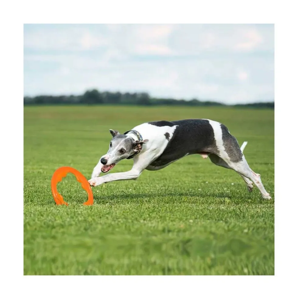 Bionic Juguete Ultra Resistente Aro Toss-N-Tug Turbo para Perro