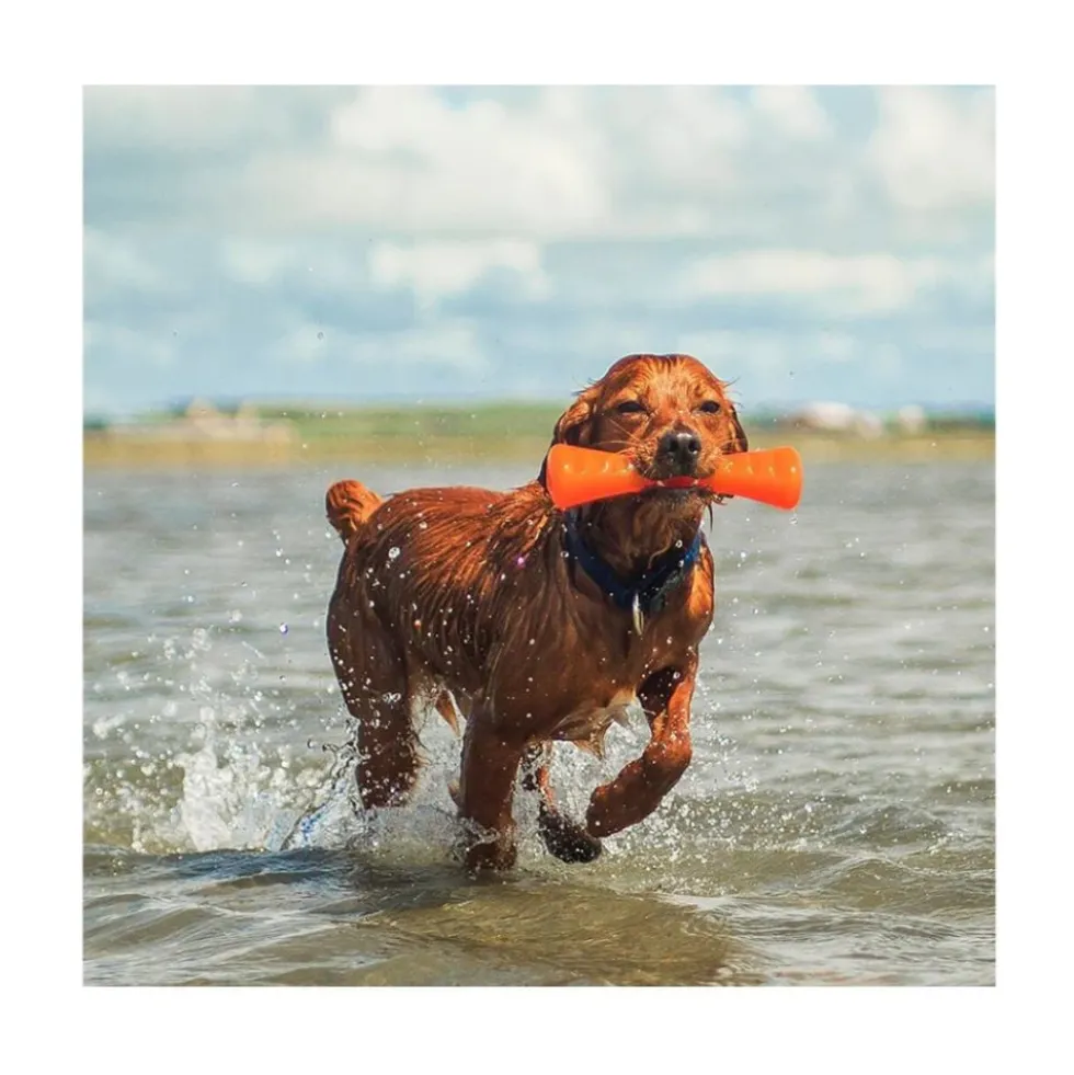 Bionic Juguete Ultra Resistente Urban Stick para Perro