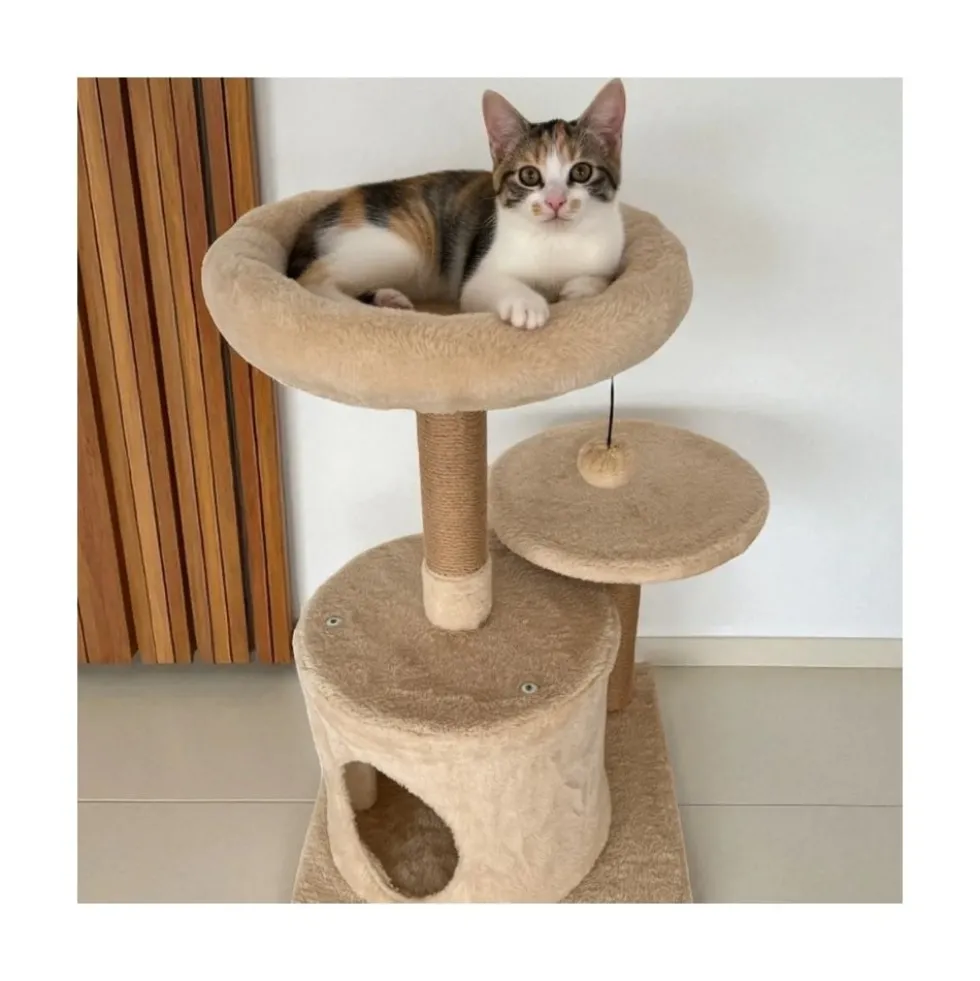 Cama Árbol Nácar para Gatos