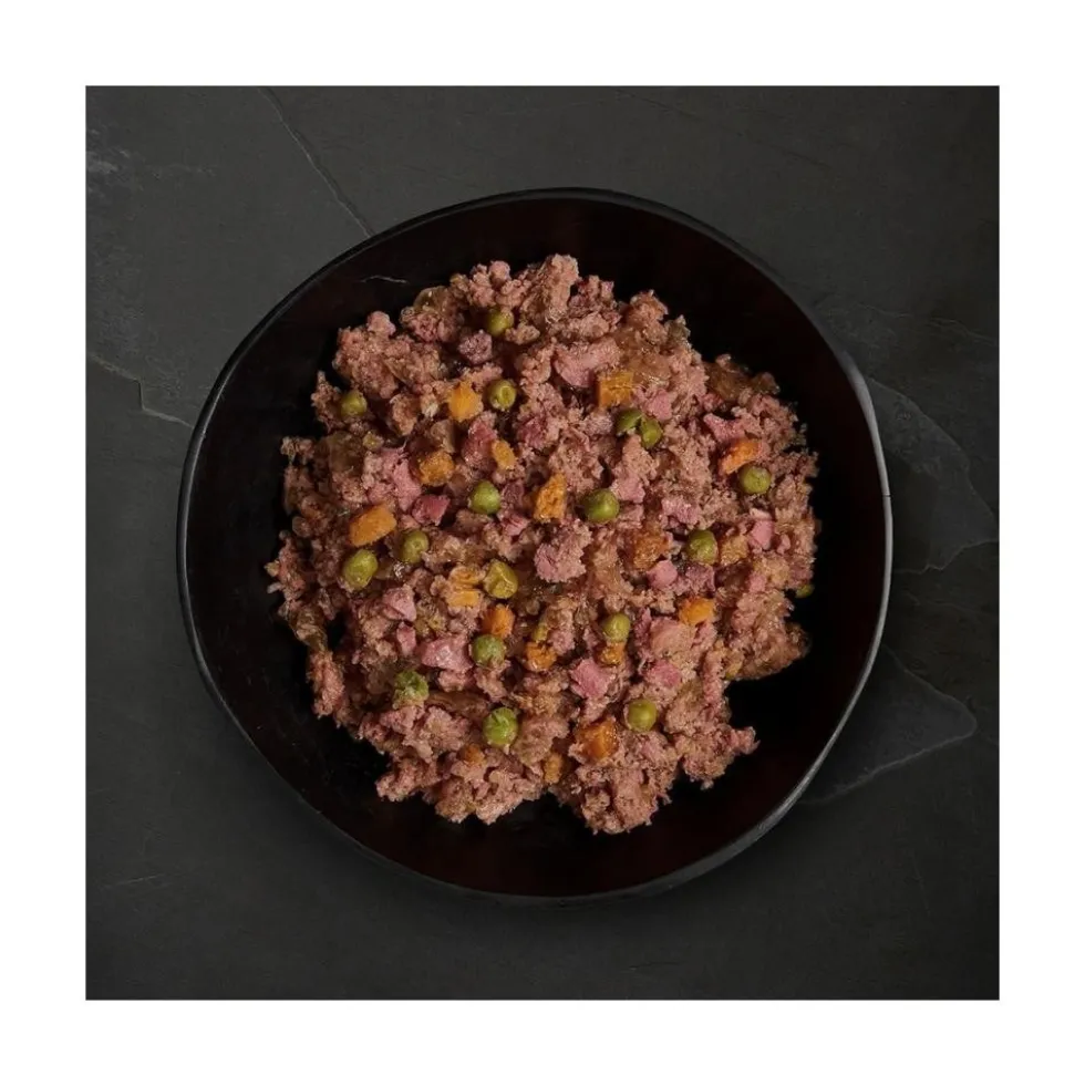 Canagan Lata de Carnes de Caza para Perros