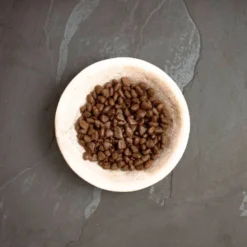 Canagan Pienso de Carnes de Caza para Gatos