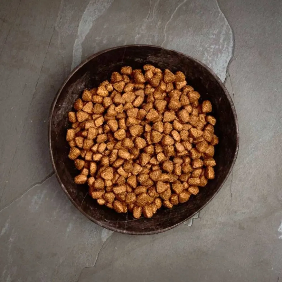 Canagan Pienso de Pollo Campero para Perro