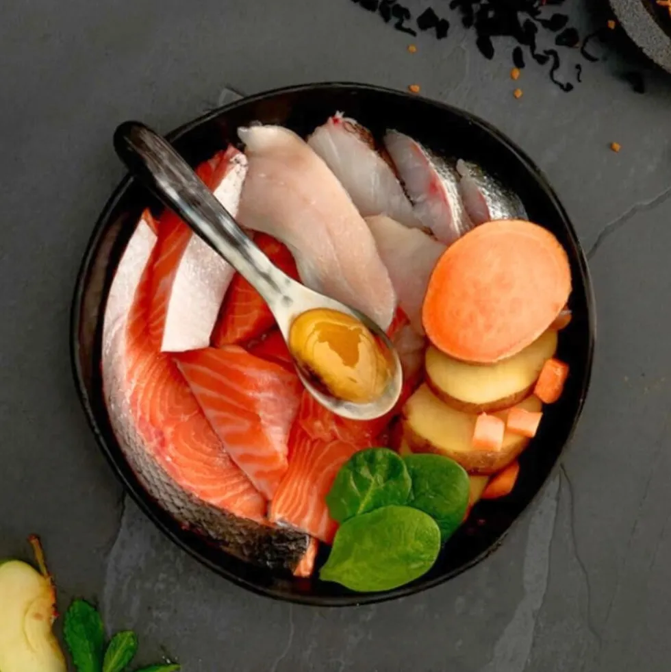 Canagan Pienso de Salmón Escocés para Gatos