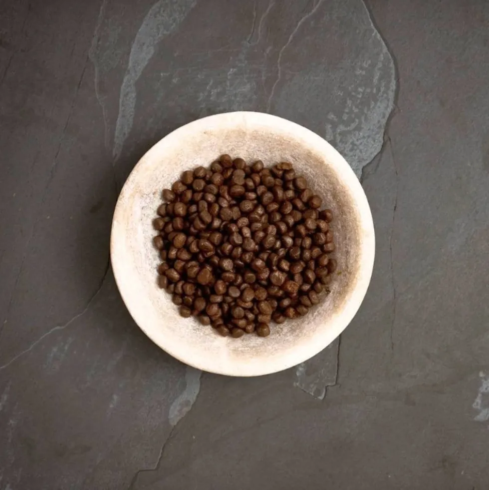 Canagan Pienso de Salmón Escocés para Gatos