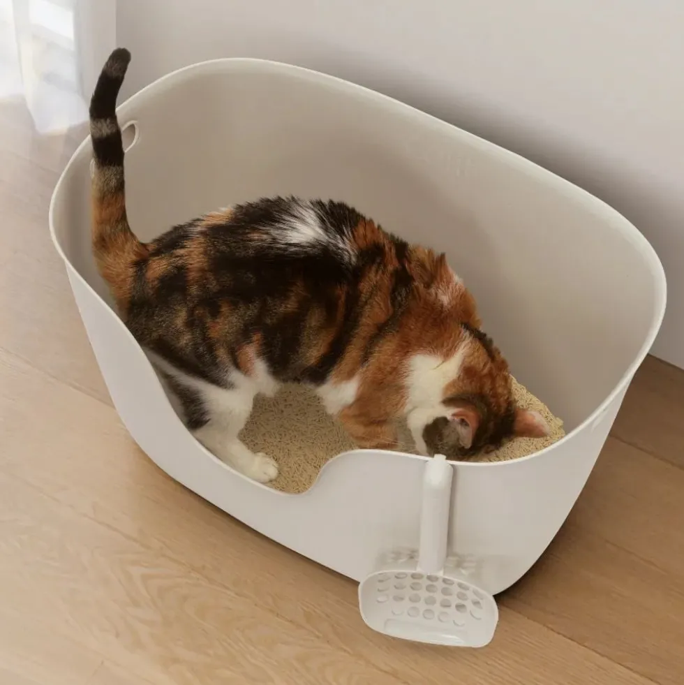 Catit Arenero Loo con Pala para Gatos