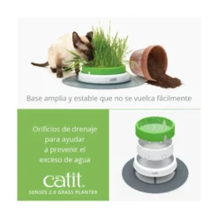 Catit Senses Germinador de Hierba para Gatos
