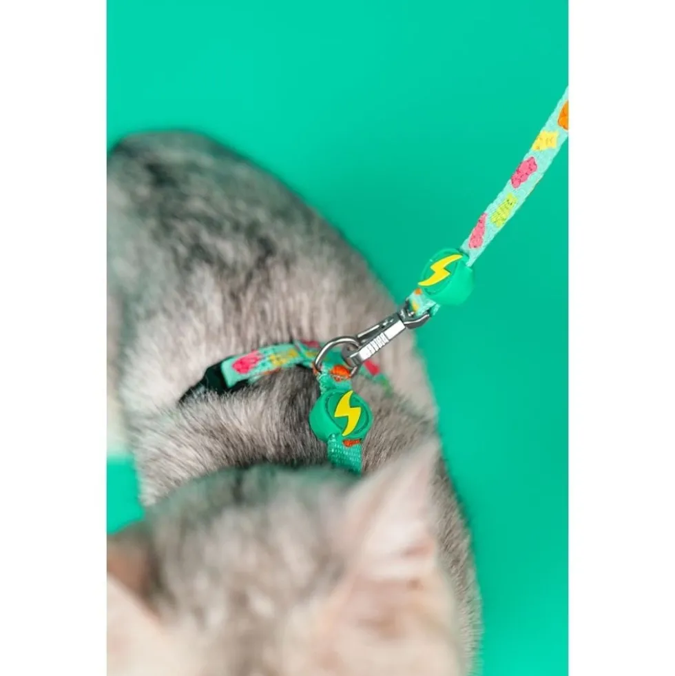 Dashi Arnés + Correa Gummy para Gato