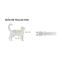 Dashi Arnés + Correa Gummy para Gato