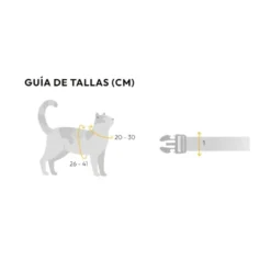 Dashi Arnés + Correa Neón Naranja para Gato