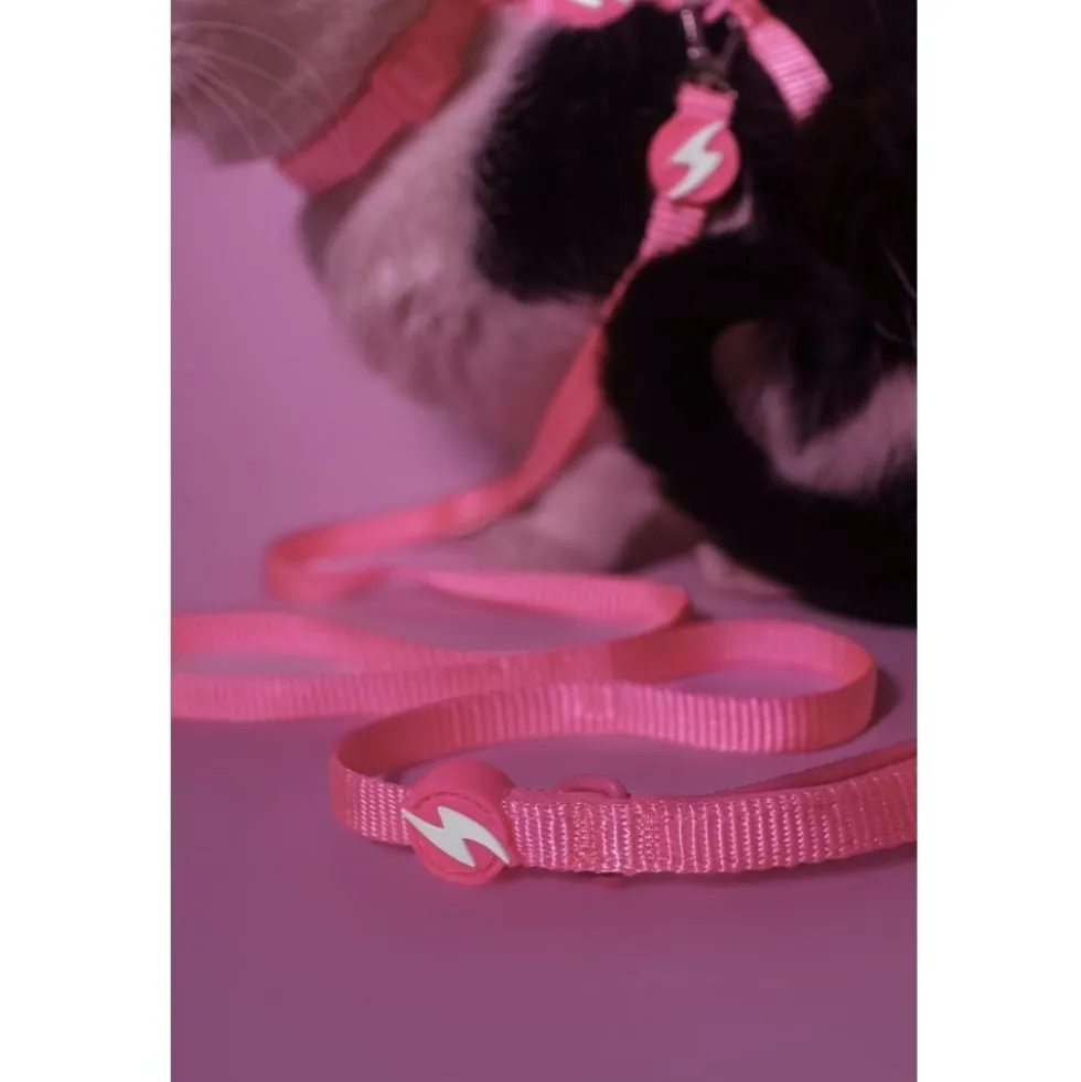 Dashi Arnés + Correa Neón Rosa para Gato