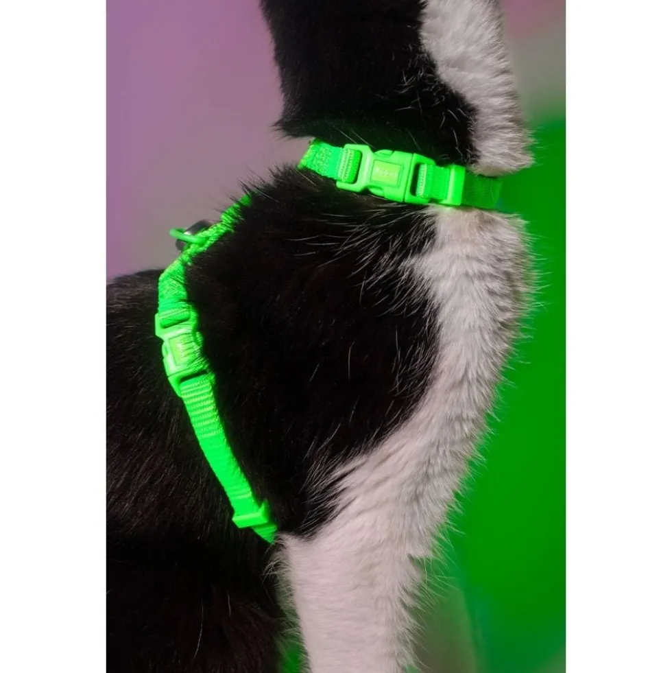 Dashi Arnés + Correa Neón Verde para Gato