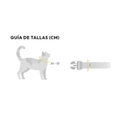 Dashi Collar Neón Naranja para Gato