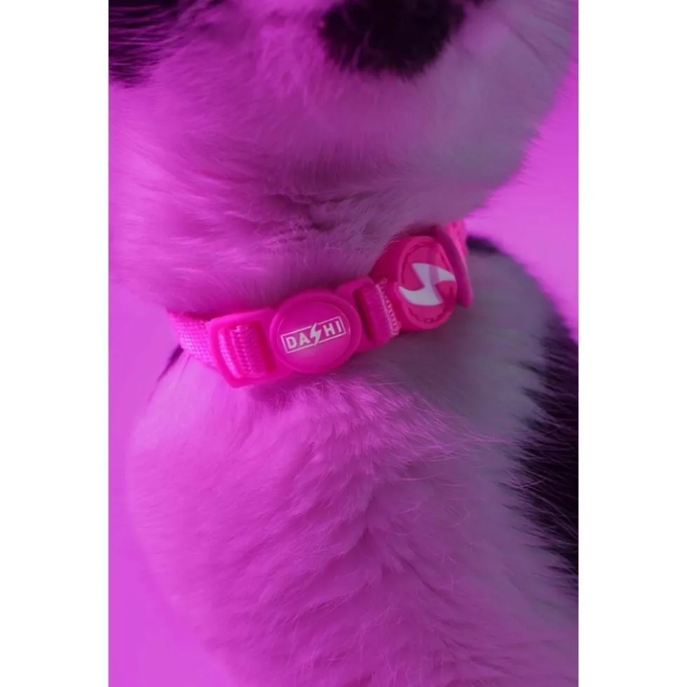Dashi Collar Neón Rosa para Gato