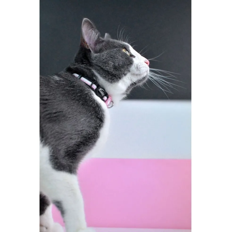 Dashi Collar Stripes³ Rosa y Negro para Gato