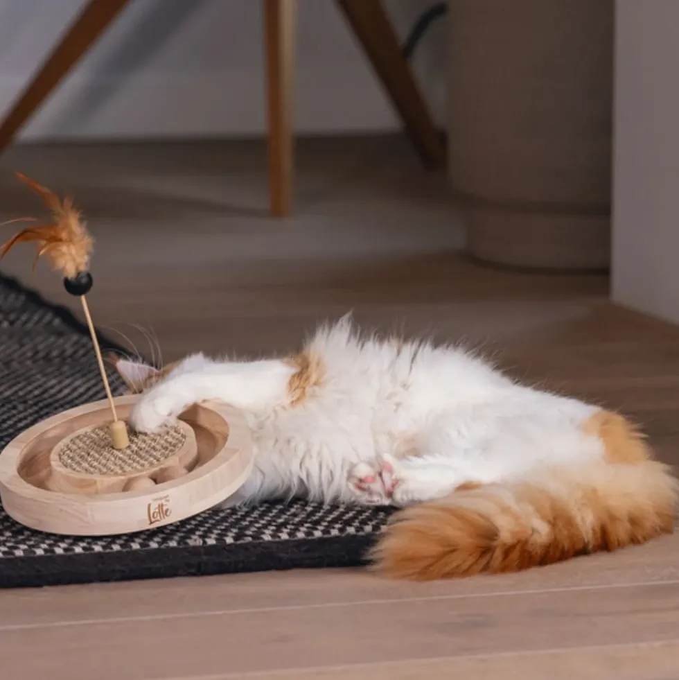 Designed by Lotte Juguete Rascador con Pluma para Gato