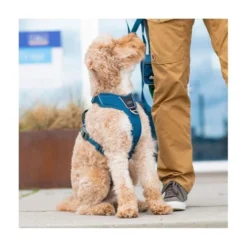 DOG Copenhagen Arnés Azul Comfort Walk Pro para Perro