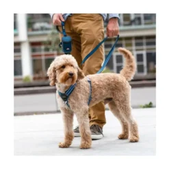DOG Copenhagen Arnés Azul Comfort Walk Air para Perro
