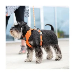 DOG Copenhagen Arnés Beige Comfort Walk Pro para Perro