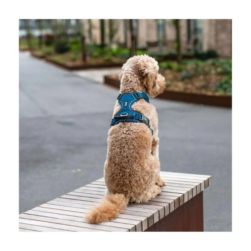 DOG Copenhagen Arnés Beige Comfort Walk Pro para Perro