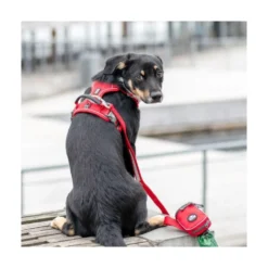 DOG Copenhagen Arnés Rojo Comfort Walk Pro para Perro