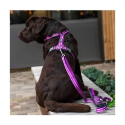 DOG Copenhagen Arnés Rojo Comfort Walk Air para Perro