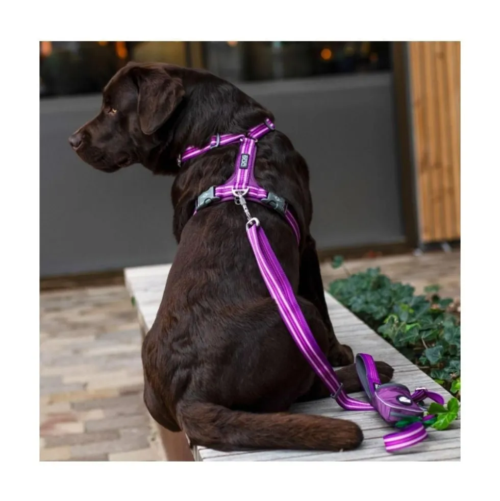 DOG Copenhagen Arnés Rojo Comfort Walk Air para Perro