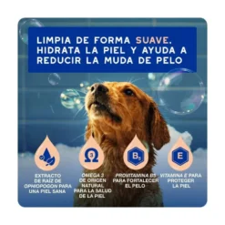 Douxo Spa Champú para Control de la Muda para Perro