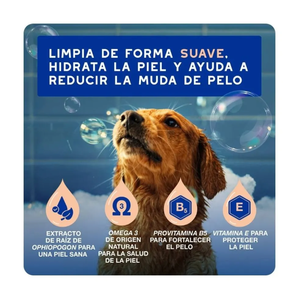 Douxo Spa Champú para Control de la Muda para Perro