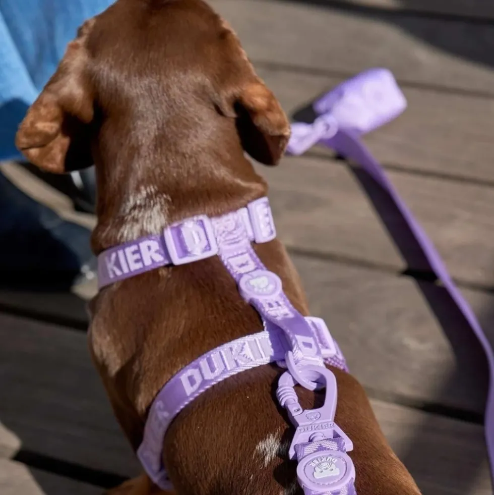 Dukier Arnés Clásico Violet para Perro