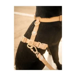 Dukier Arnés Waterproof Beige para Perro