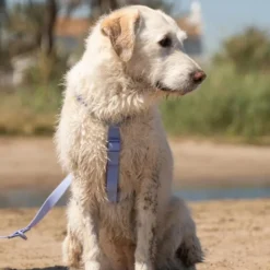 Dukier Arnés Waterproof Blue Lavander para Perro