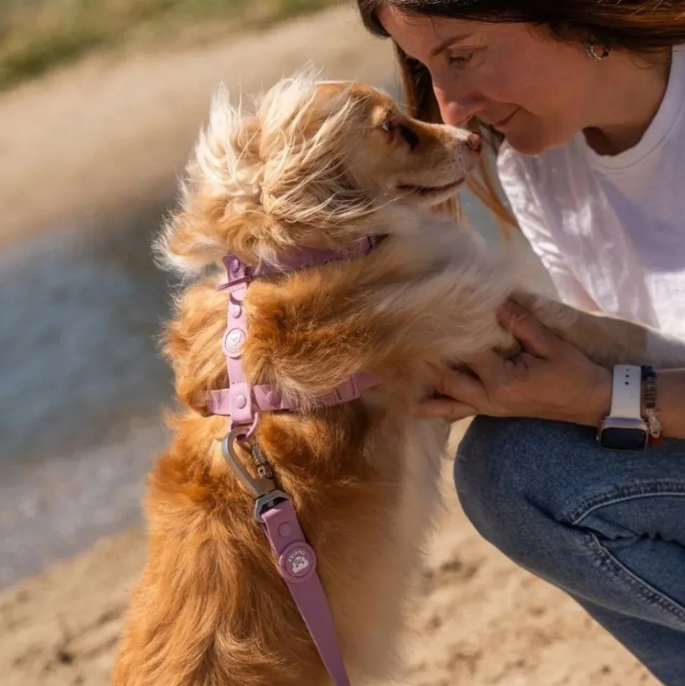 Dukier Arnés Waterproof Mauve para Perro