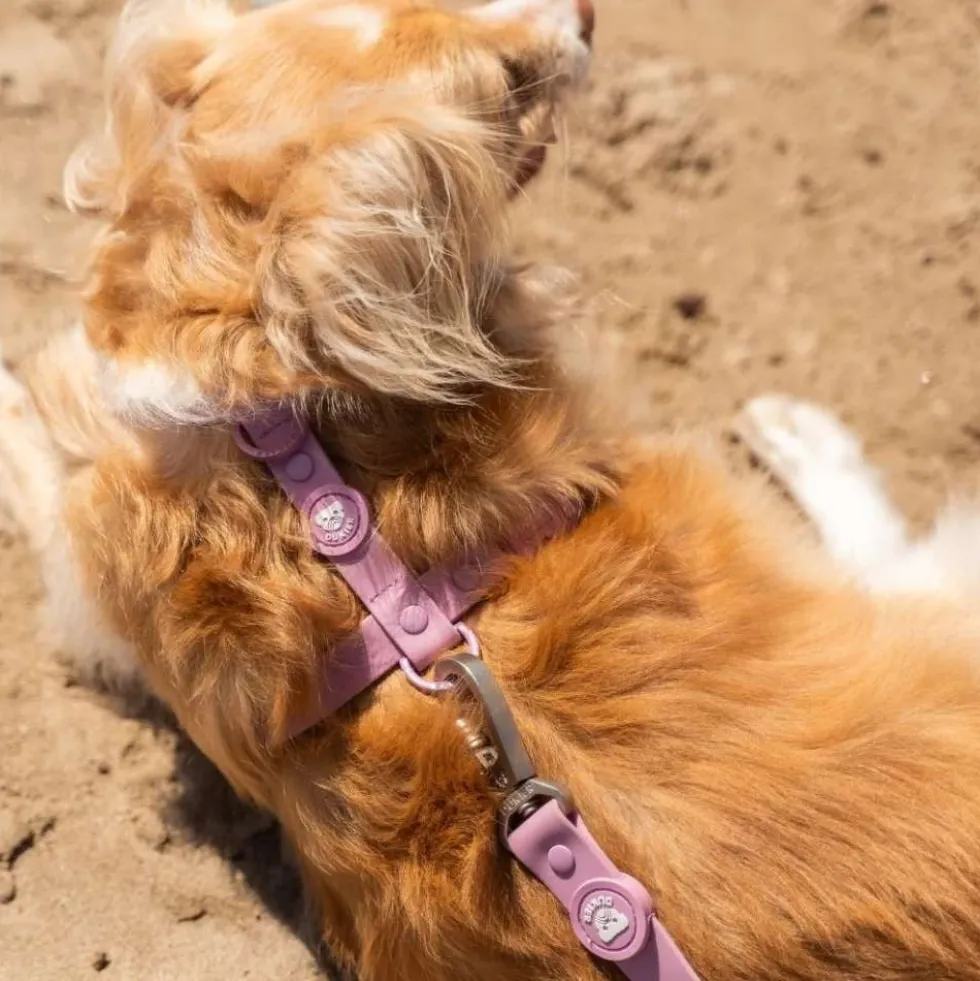 Dukier Arnés Waterproof Mauve para Perro