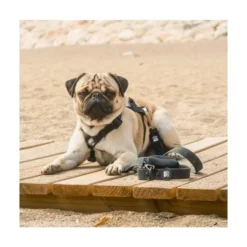 Dukier Arnés Waterproof Negro para Perros