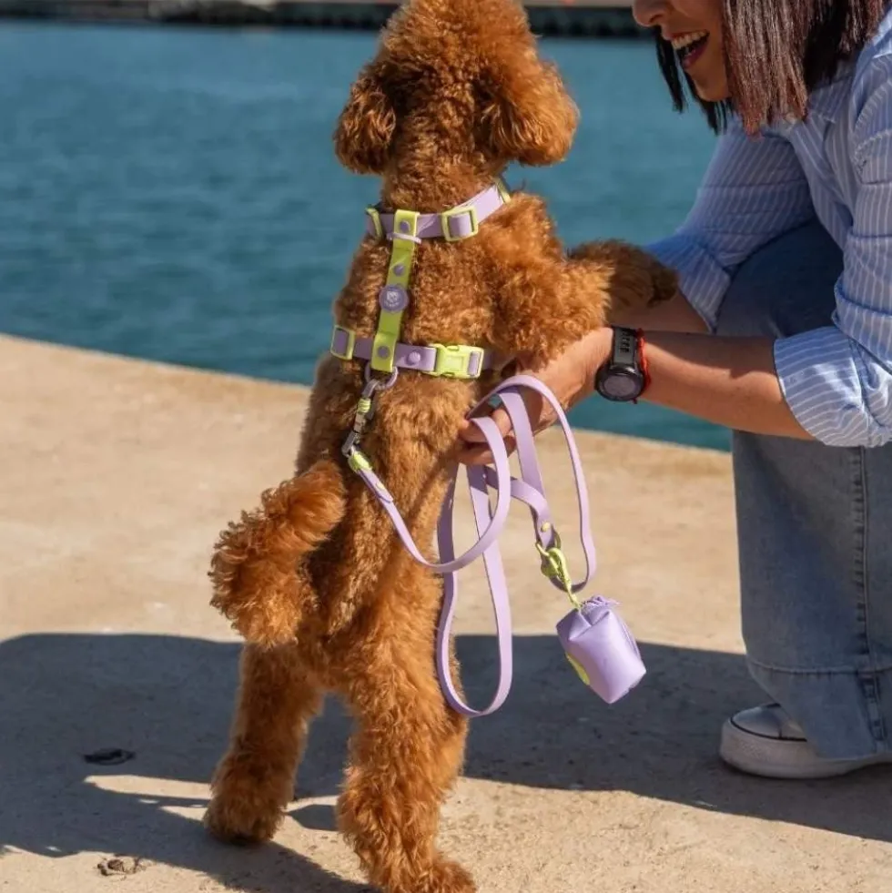 Dukier Arnés Waterproof Violet Matcha para Perro