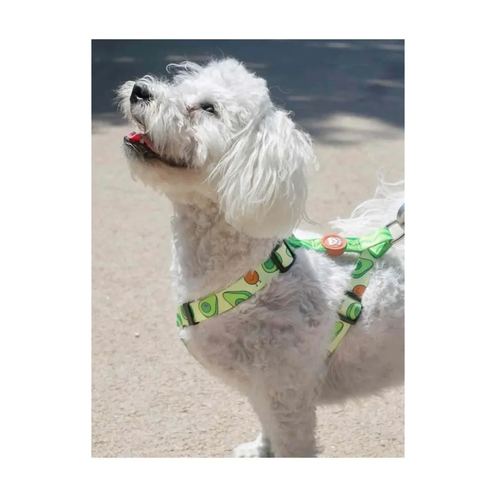 Dukier Avocado Arnés Clásico para Perro